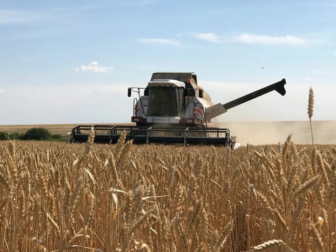 Elimiz boıynsha 12 mln gektarǵa jýyq egin alqaby jınaldy – AShM