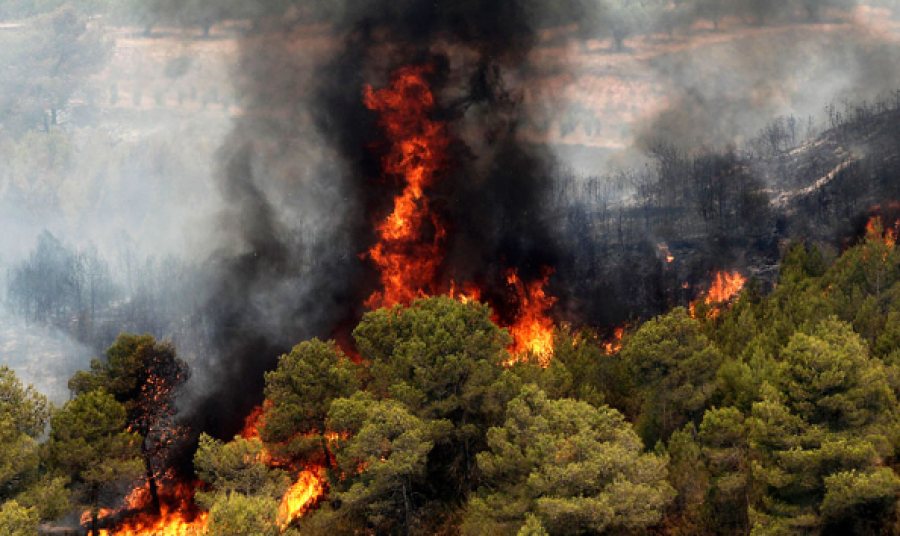 Ispanııada orman órti órship tur