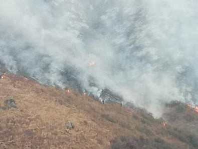 Jambyl oblysynda 650 gektar jer órtendi