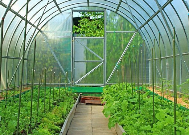 Básekelestik baǵaǵa yqpal etedi