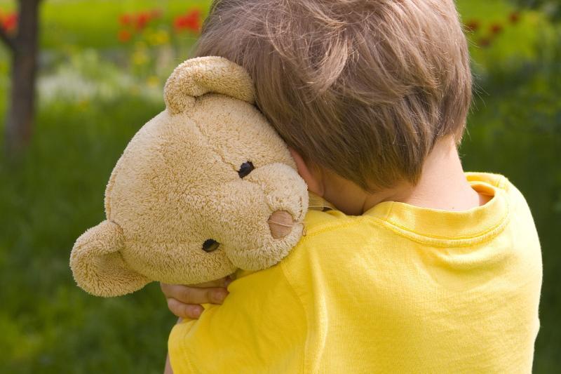 Jetimder quqyǵyn qorǵaý boıynsha Úkimet Qaýlysy bekitildi