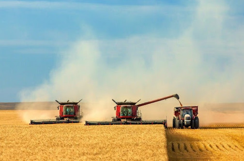 О́nimi mol kúzgi maýsym