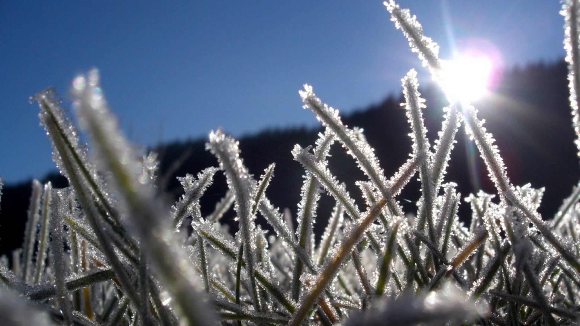 Aldaǵy úsh kúnde aýa raıy qandaı bolady?