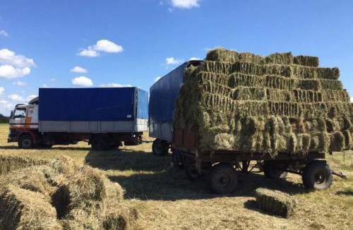 Aýyl sharýashylyǵyna  mán berile bastady