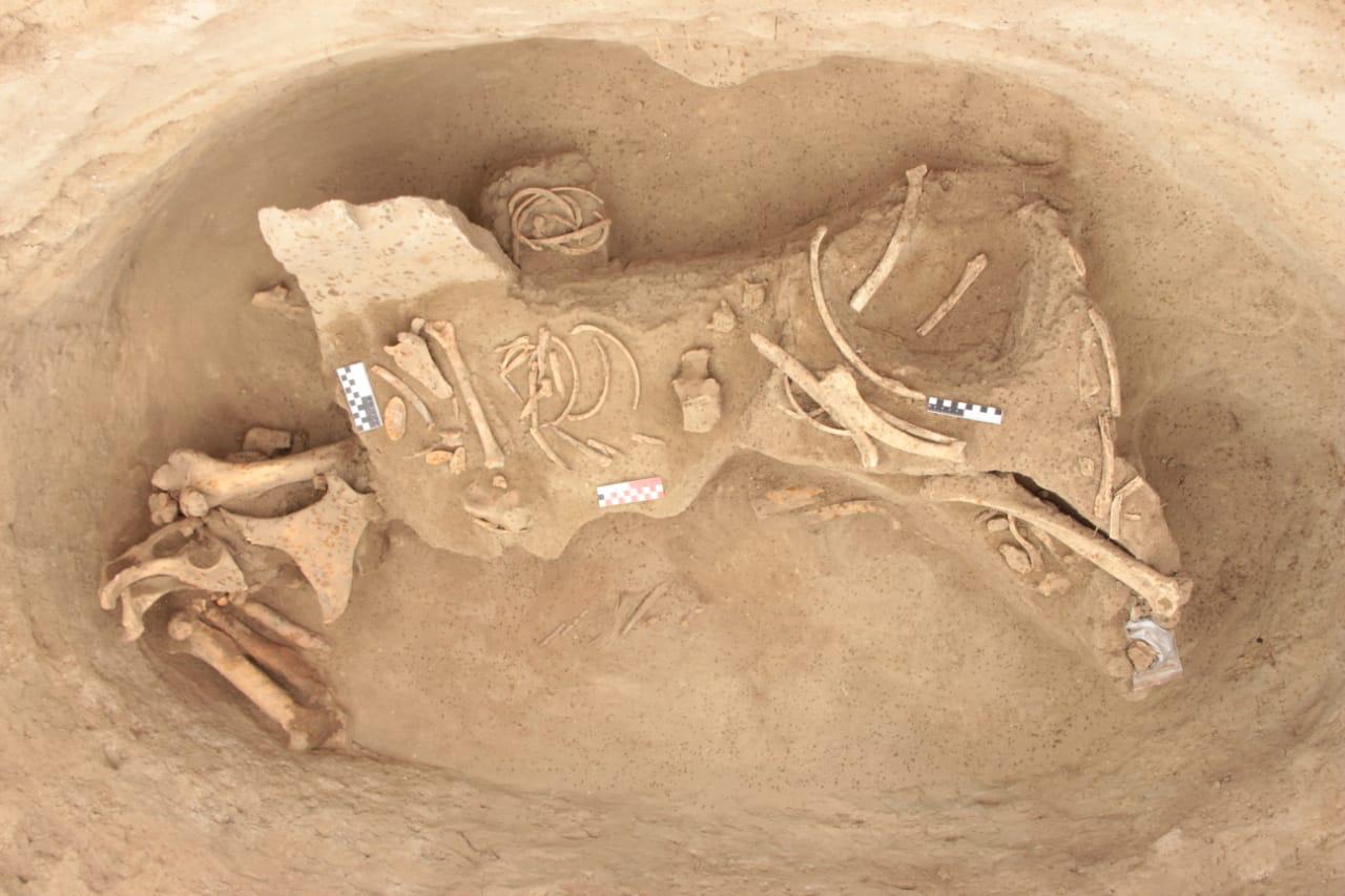 Aqqaınar qoınaýy –  asyl qazyna