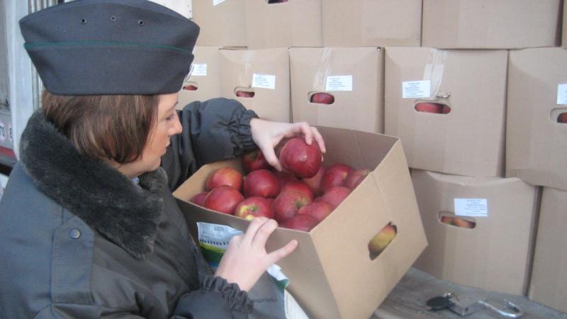 Tyıym salynǵan ónimdi elge kirgizbek bolǵandar anyqtaldy