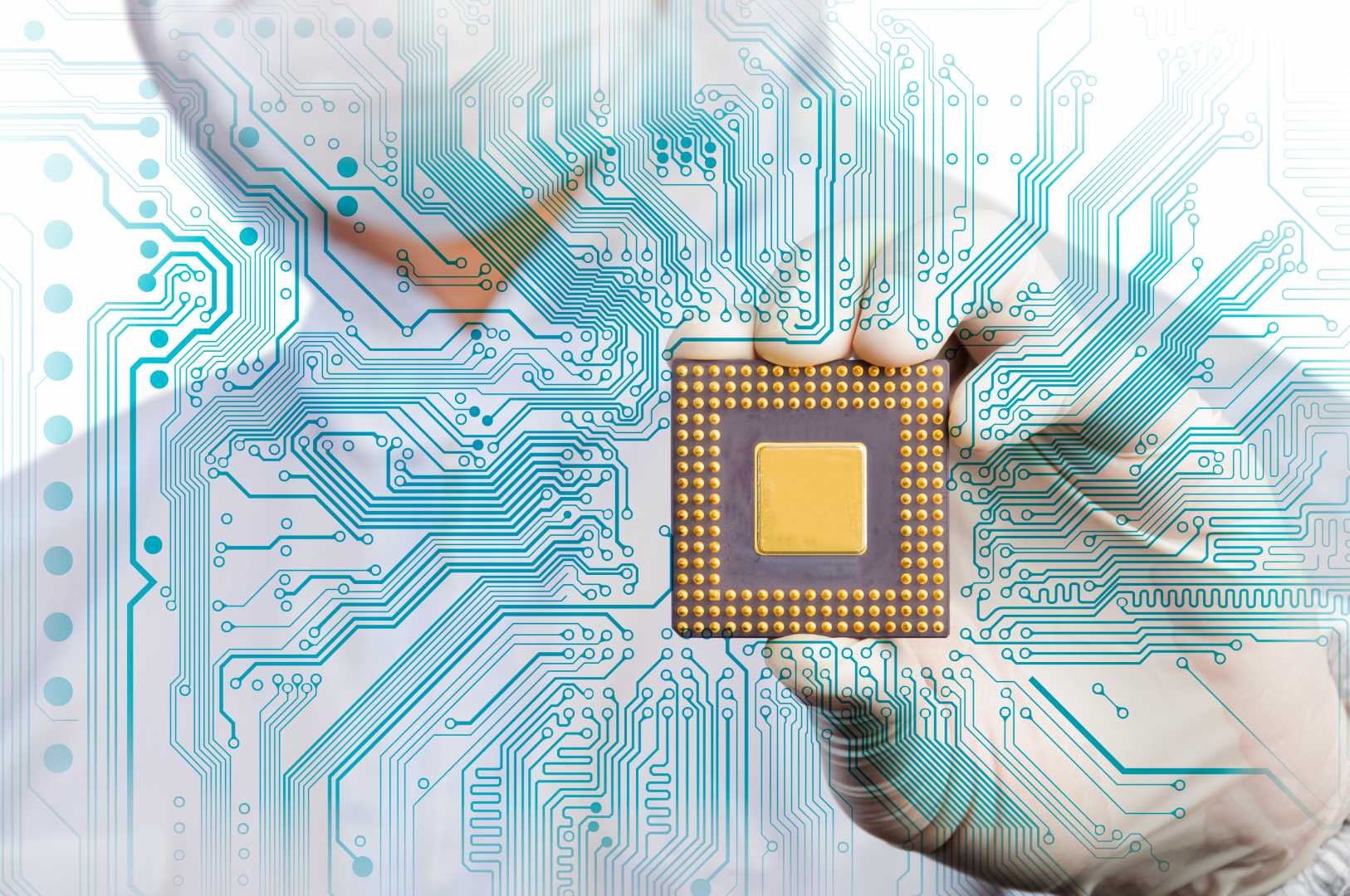 Pandemııa hám mıkroshema