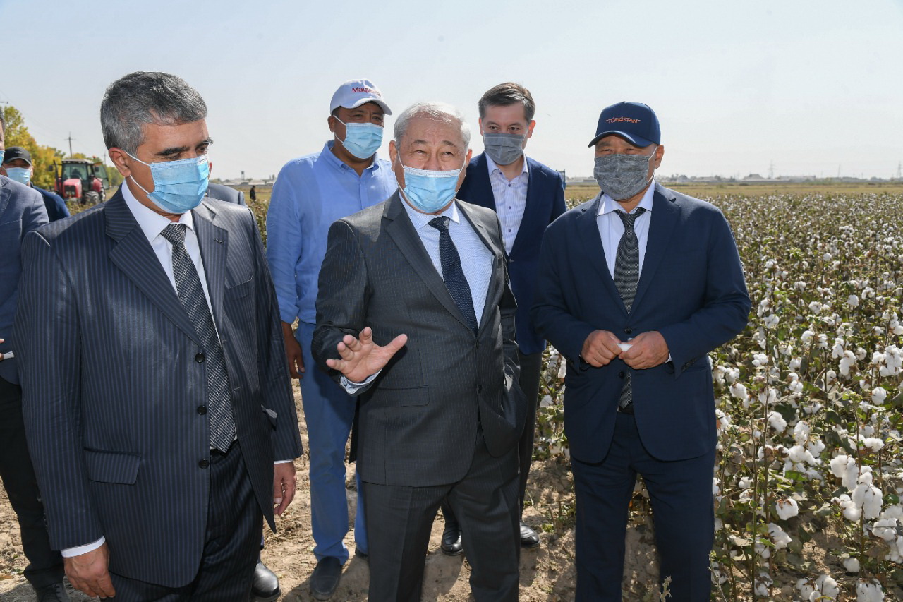 Birlik pen tatýlyq – bereke bastaýy