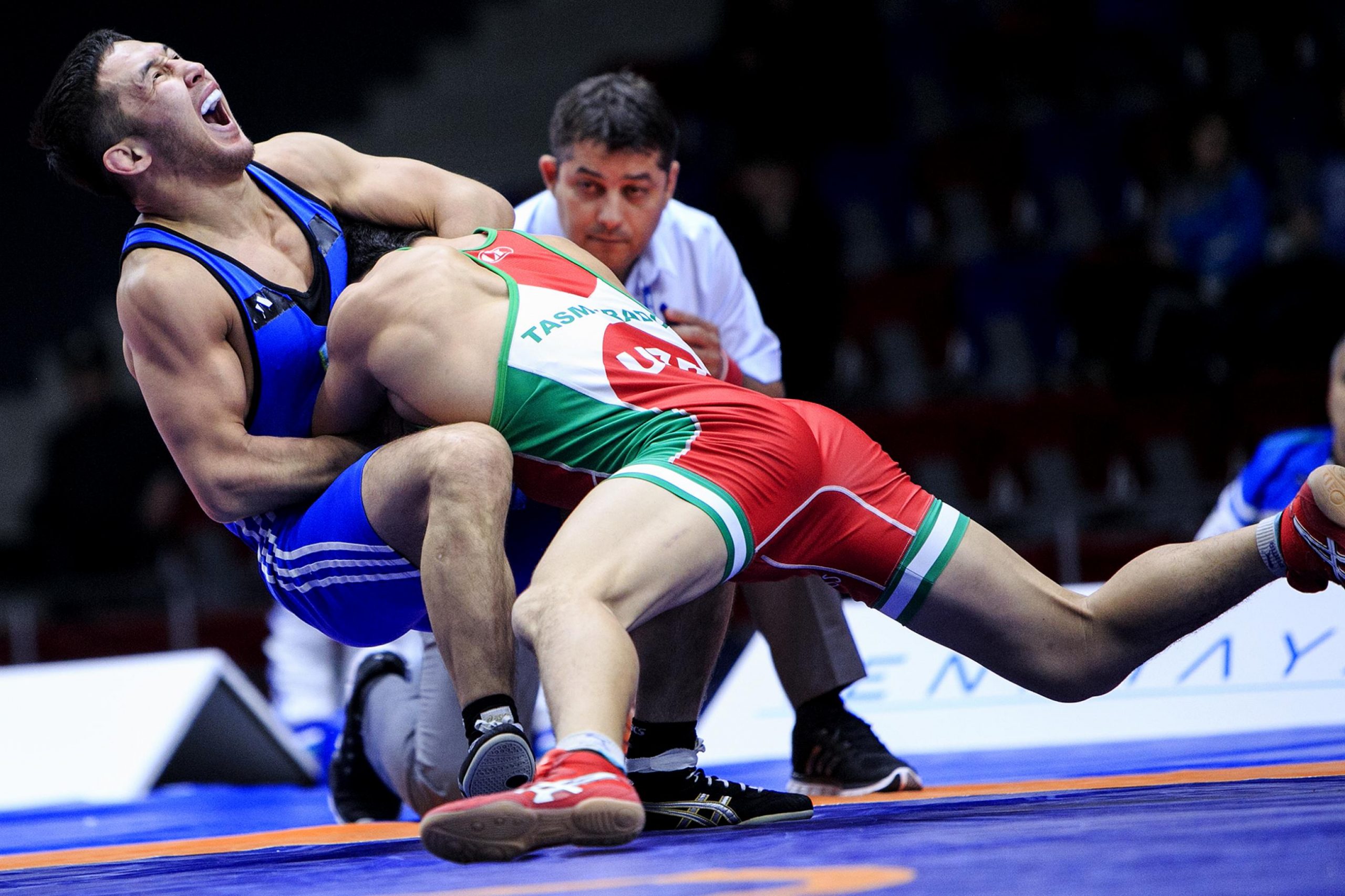 Skandınavııa túbegindegi saıys elimizdegi kúres túrleriniń deńgeıin aıqyndady