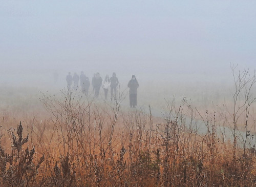 Qalalardy qalyń tuman basyp tur