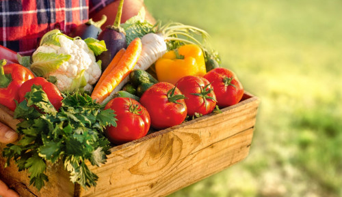 Organıkalyq ónim óndirýge múmkindik mol