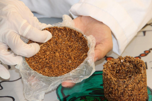 Jańǵaq qabyǵynan ydys jasap shyǵardy