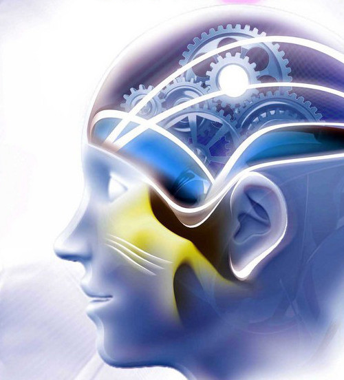 Sıfrlandyrý – sapaly ómirdiń kepili