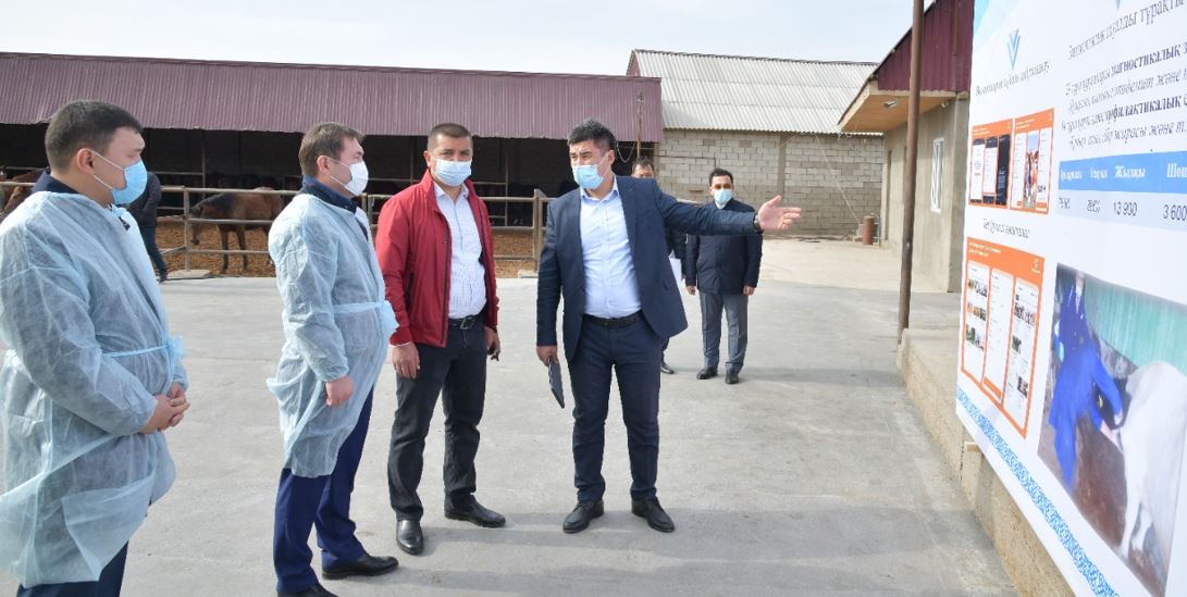 Shymkentte «VET QYZMET» pılottyq jobasy iske qosyldy