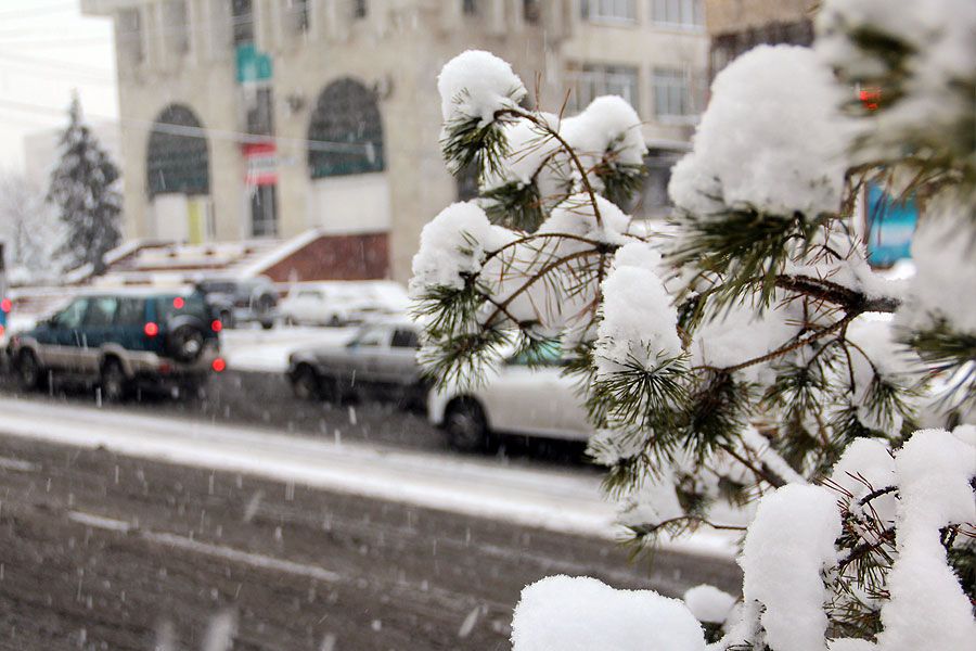 Qarashada aýa raıy qandaı bolady