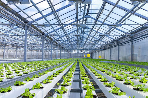 Jylyjaı kesheni iske qosyldy