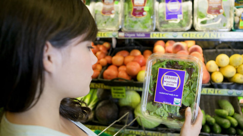 Sapasyz ónim shyǵarǵandar jazasyz qalmaıdy