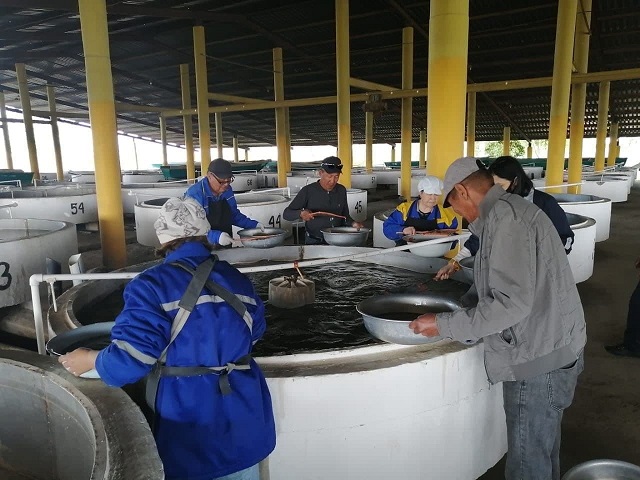 Balyq sharýashylyǵyndaǵy básekelestik