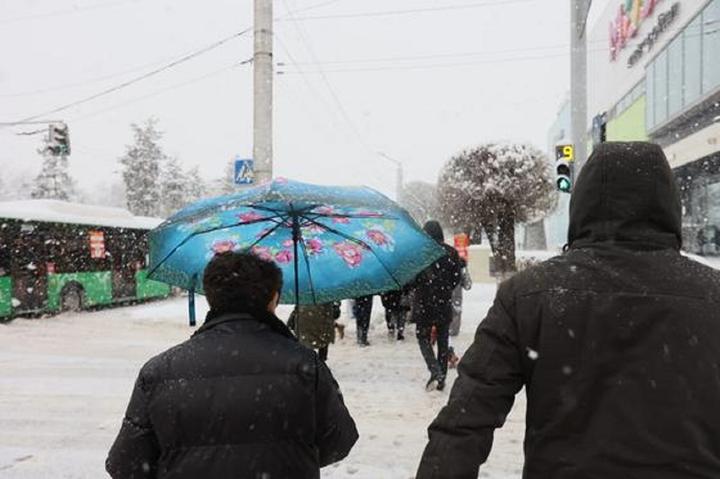 Almatyda taý bókterinde 40 sm qar tústi
