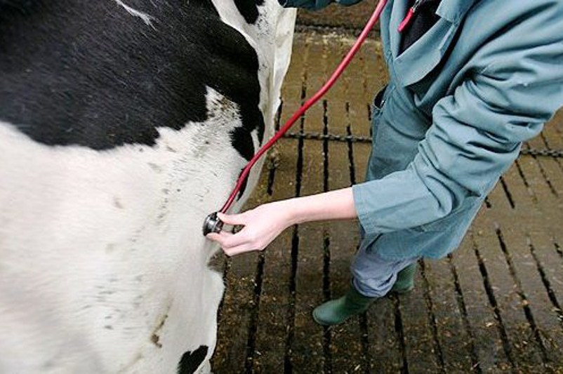 Izdenis, jańalyq jáne nátıje