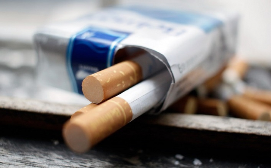 Semeıde iri kólemde zańsyz temeki tárkilendi