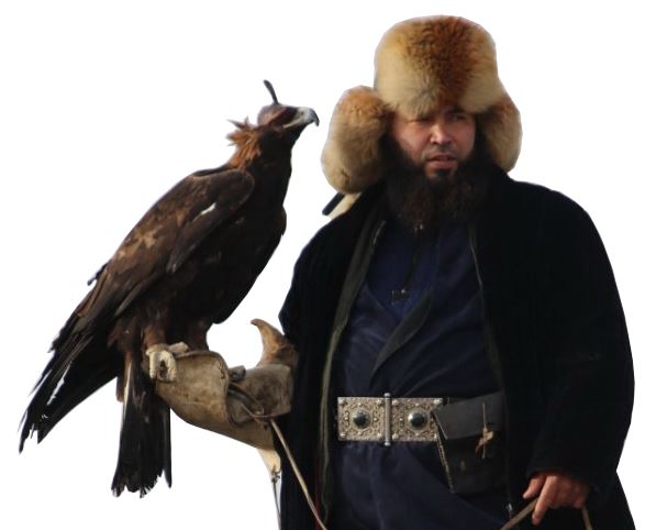 Qyran qustar saıysy