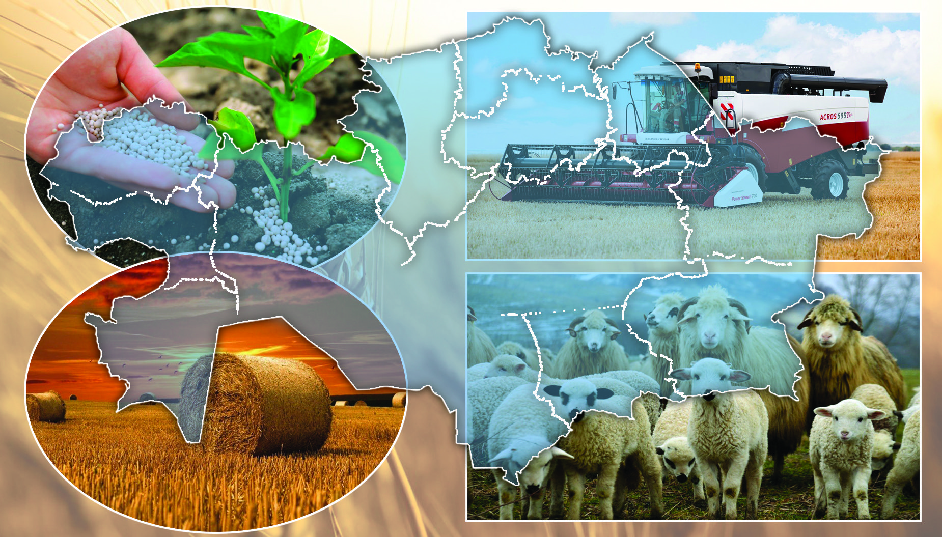 Sharýalar aıtty bazyna...