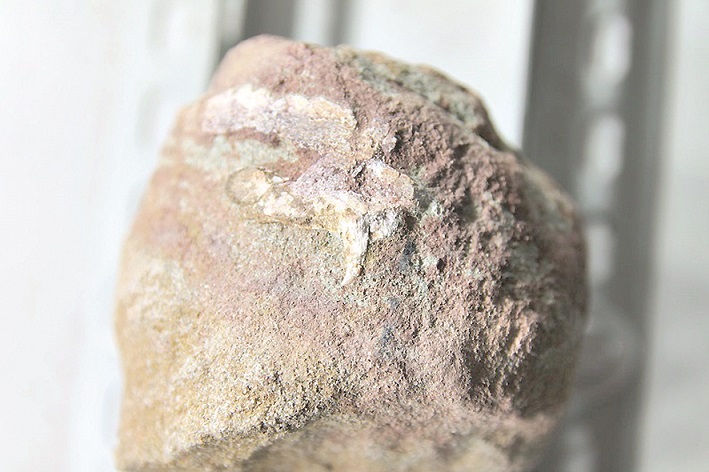 Mıllıon jyl saqtalǵan súıek