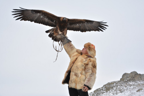 Qyran samǵap, kúı tógildi Bozanbaıda...