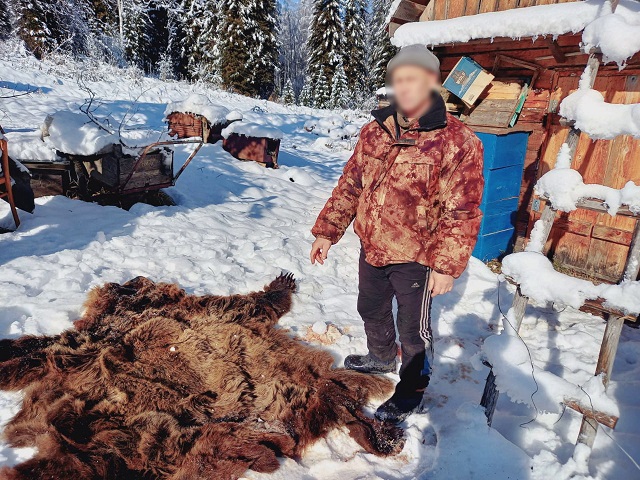 Aıý aýlaǵandarǵa aıaýshylyq joq