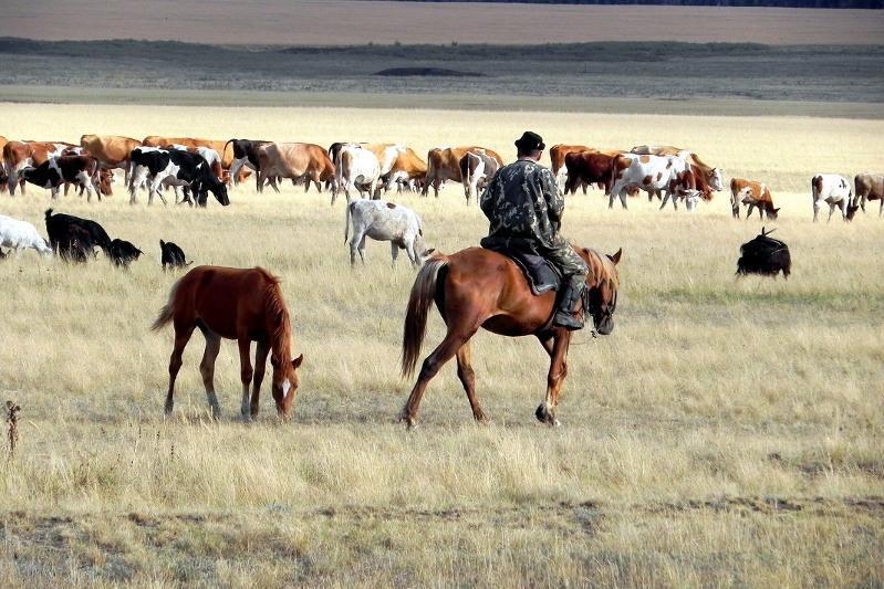 Mal urlyǵy órship tur