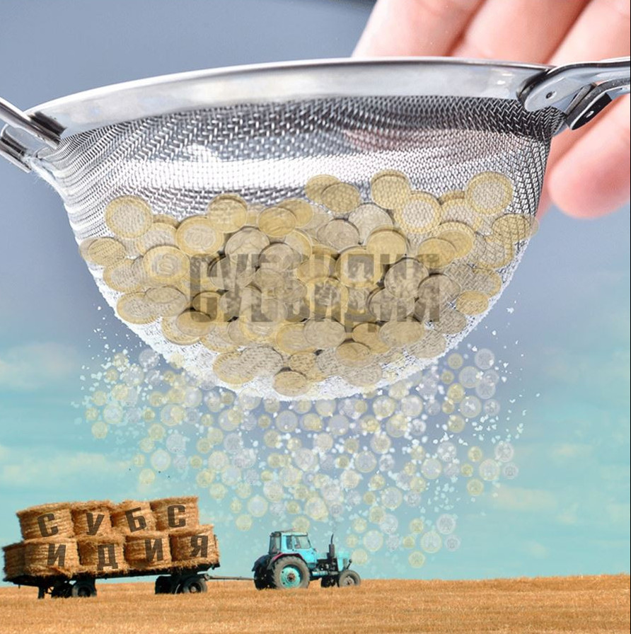 Súzgiden ótken sýbsıdııa