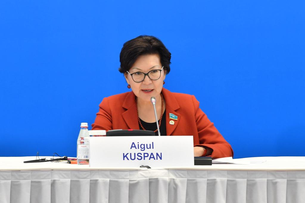 Elbasy saıasatynyń arqasynda elimizde etnosaralyq qaqtyǵystar bolmady