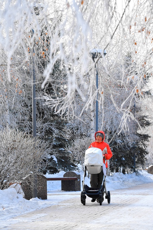 Bala kóbeıip, mektep salynýda