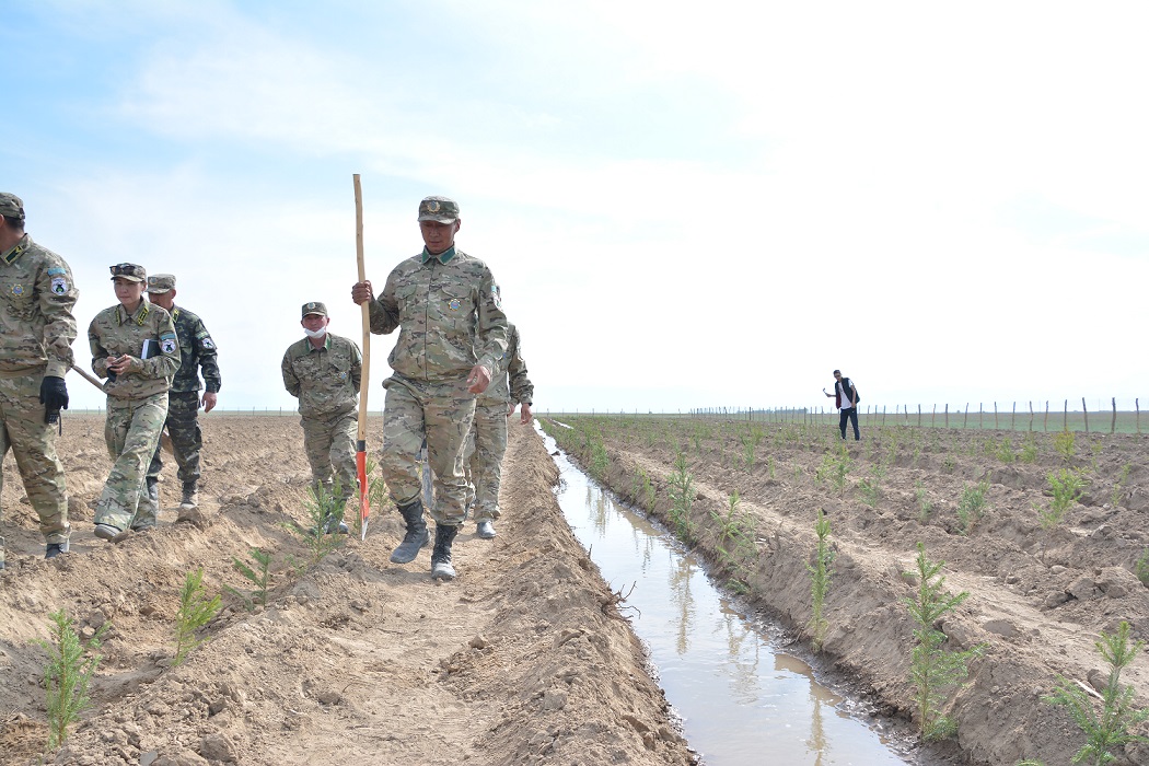 Orman qory molaıyp keledi