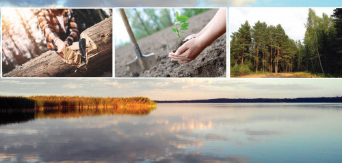 Otalǵan ormandardyń orny tola ma?