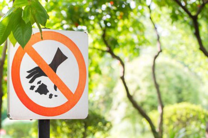 Ornyqty damý maqsattaryna jetý joldary