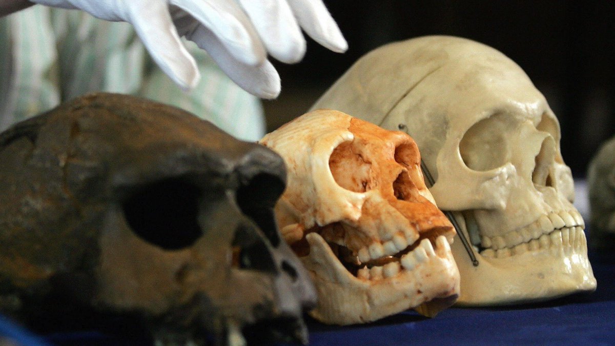 ECO Award 2021 medalin tabys etti