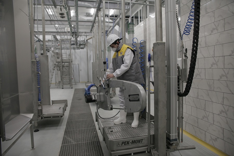 Eksport ónimderin shyǵarady