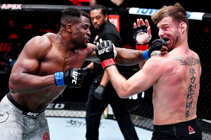 Nganný boksqa bet burǵysy keledi