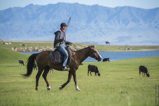 Malshy mazasyz, qasqyr jazasyz