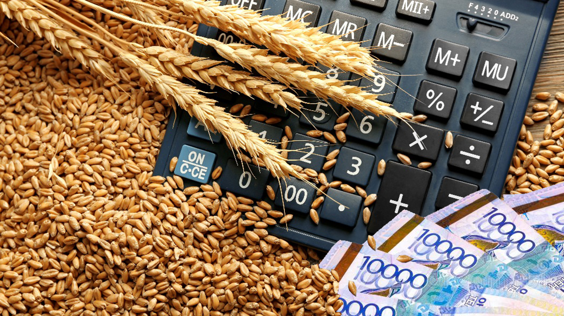 Sýbsıdııa: Bireýge bar, bireýge zar