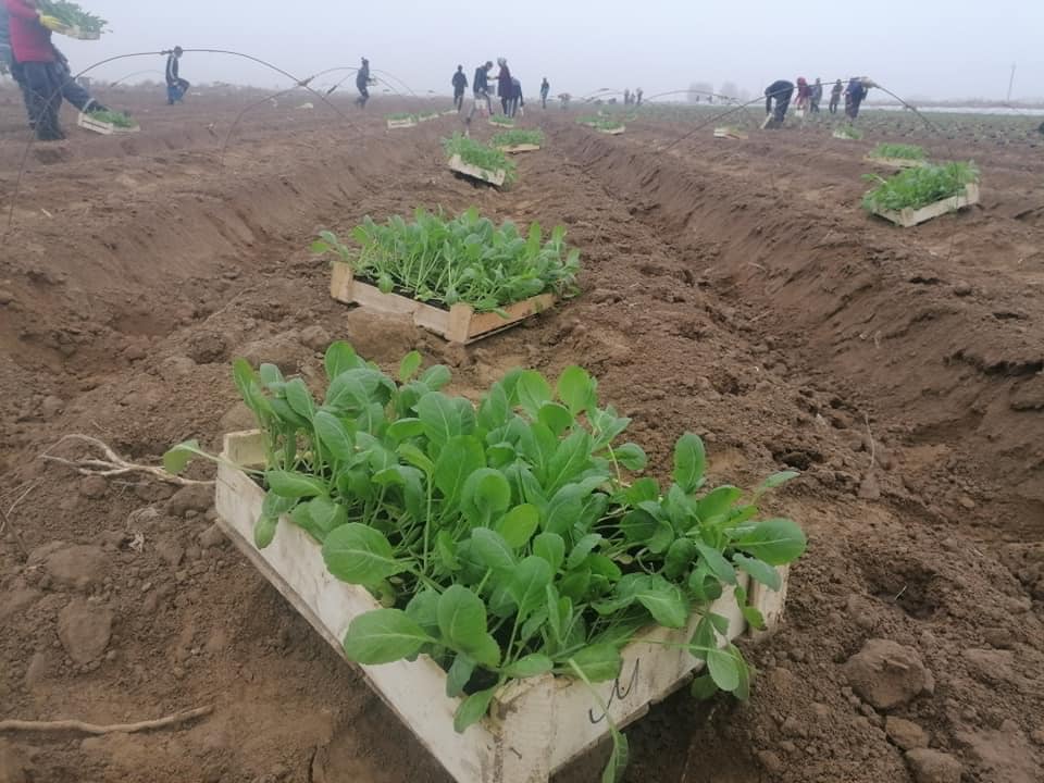 Baǵany turaqtandyrýǵa dıqandar da múddeli