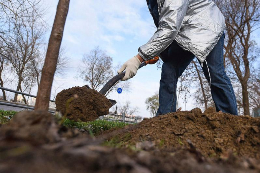 Or qazý ońtaıly sheshim be?!