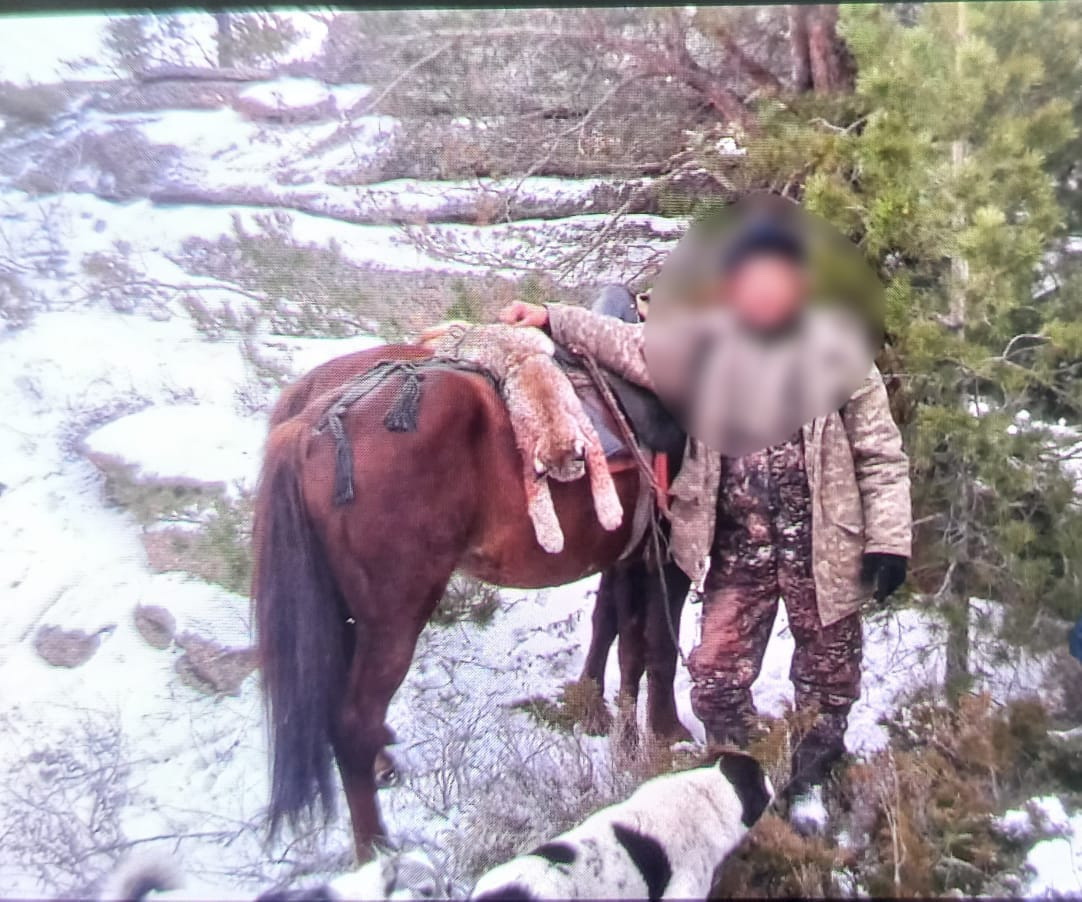 Sileýsinniń de suraýy bar