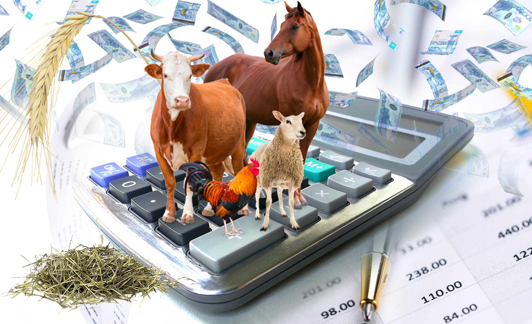 Qaıtarymsyz grant –  ońdy-soldy aqsha úlestirý emes