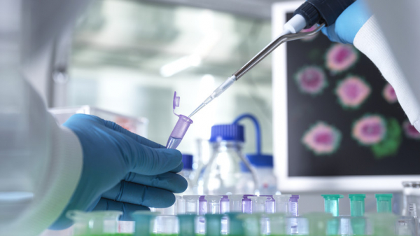 Úzdik ǵalymdar marapattaldy