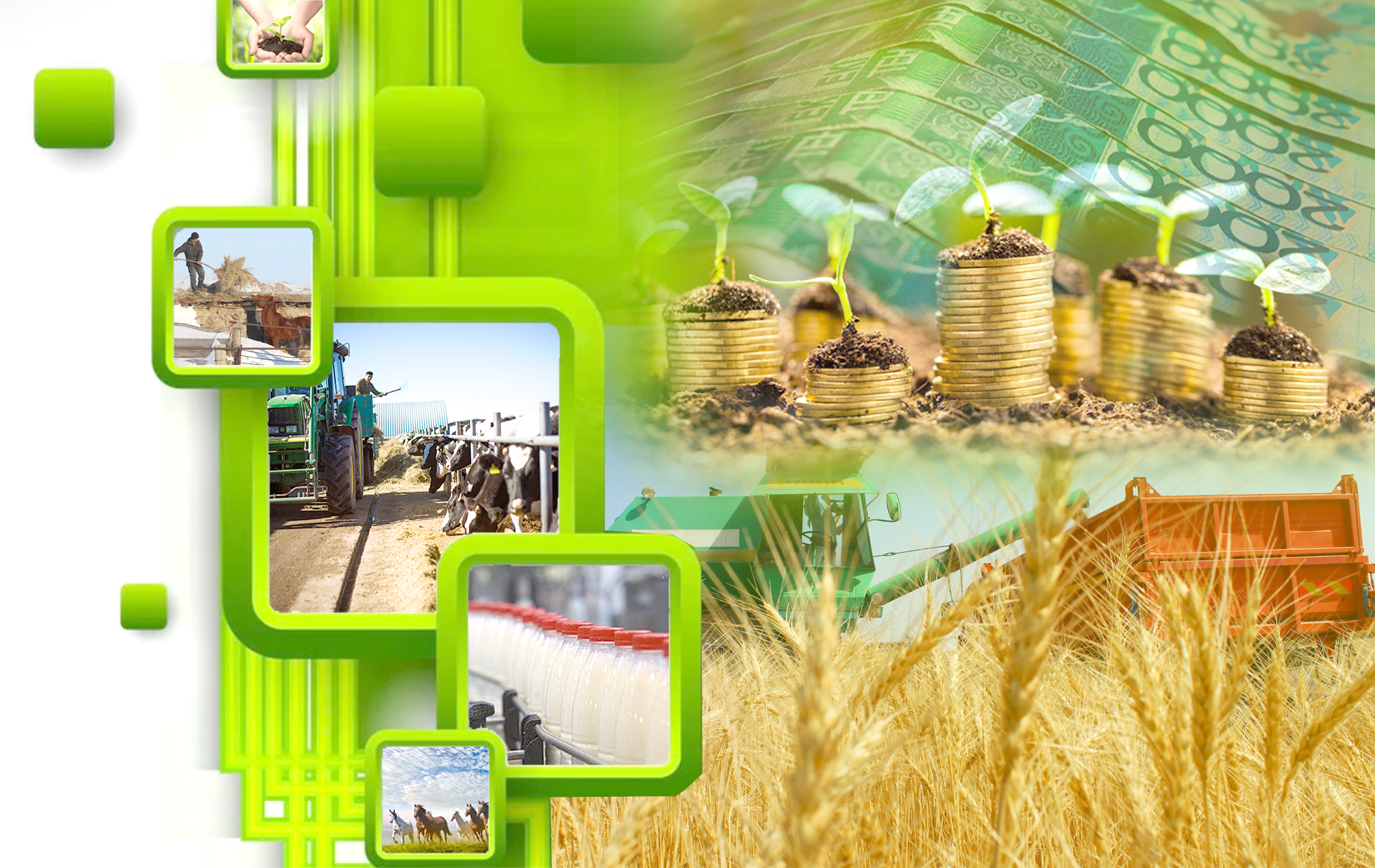 Transfertter kózdegen nysanyna jetýi shart