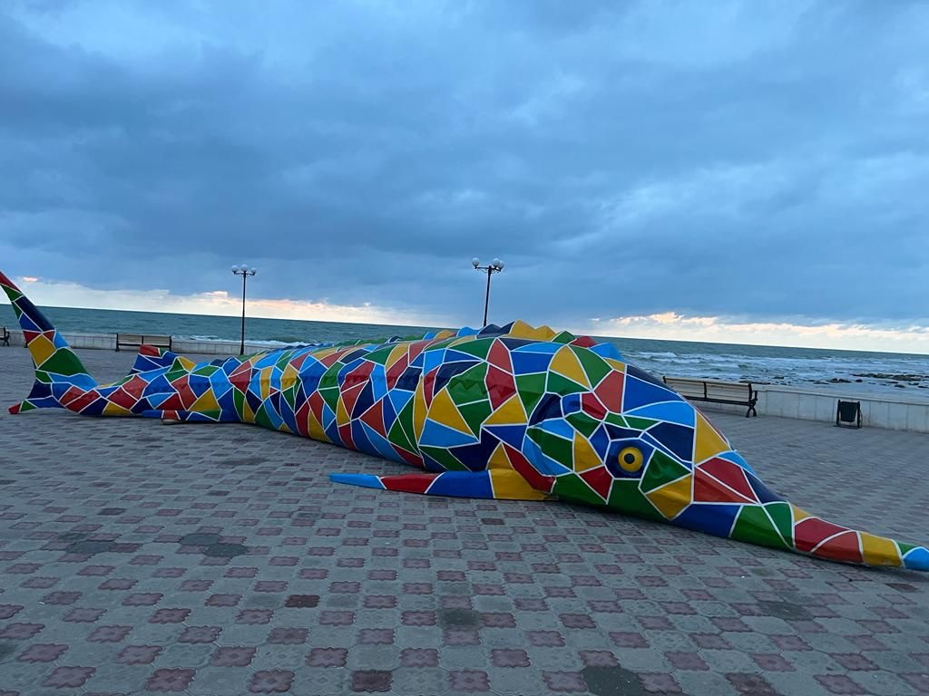 Bekirege belgi qoıdy