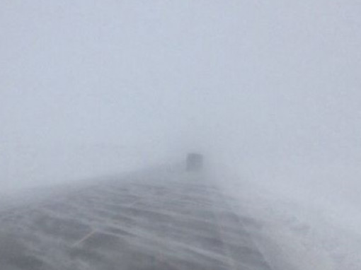 Almaty oblysynda jol jabyldy